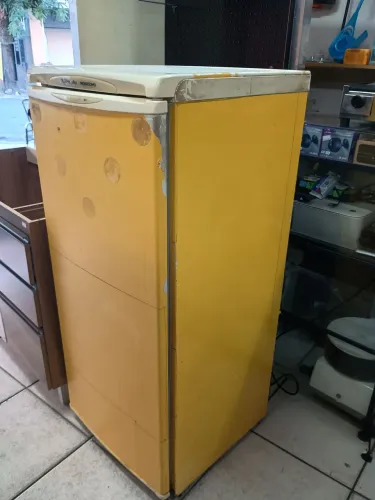 Freezer F17 Electrolux