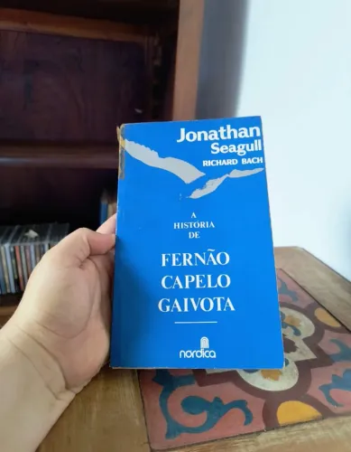 livro a história de Fernão Campelo gaivota biblioteca leitura clássico livros Richard bach