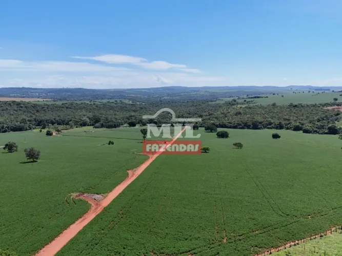 Fazenda 48,20 alqueires (233,30 hectares) Morrinhos-GO