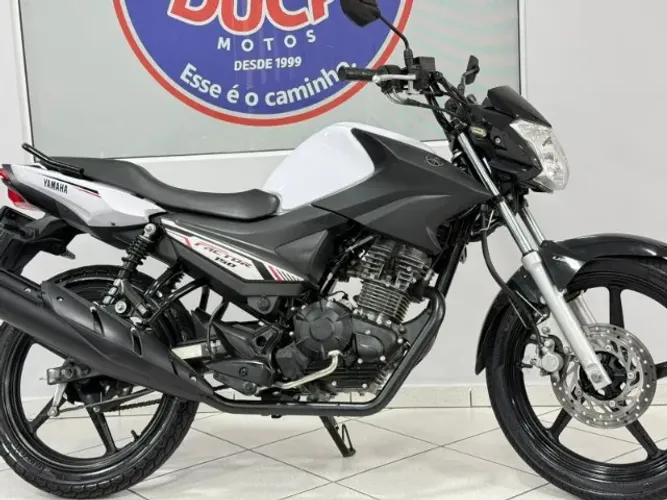 factor 150 ed 2022 branca