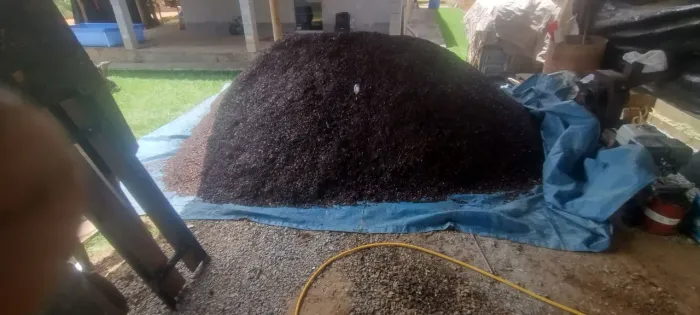 Composto orgânico 