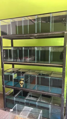 Bateria de aquário