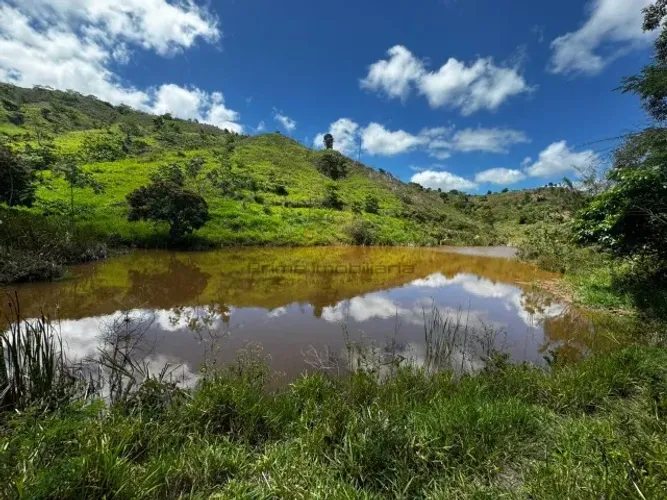 Fazenda 222ha - região de Poté MG