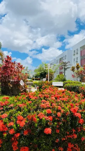 Vendo apartamento com 3 quartos na Iputinga