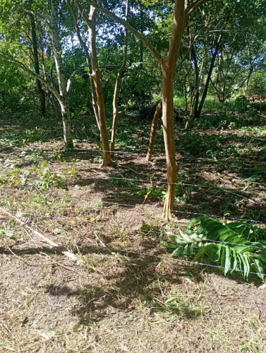 Vendo Terreno na Conquista em Balneário Barra do Sul -Sc