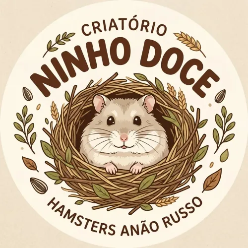 Hamster anão-russo filhote