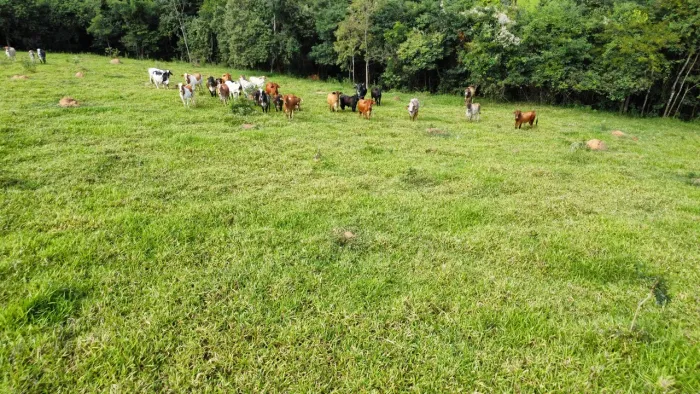 Terreno aprox 10 hectares em Itaguara rico em água