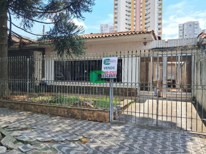 Terreno Plano de 480m2 - Vila Assunção Santo André