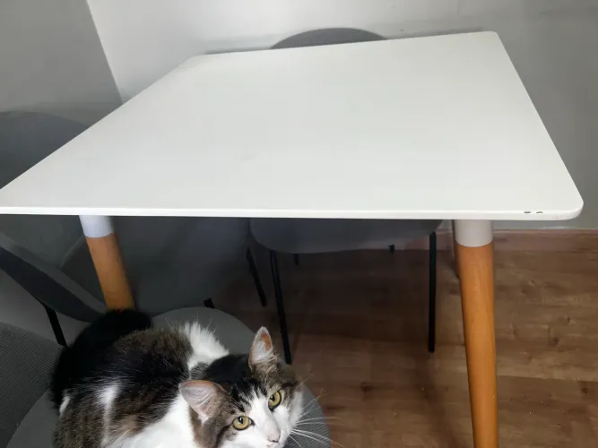 Mesa jantar e almoço quadrada 80x80 branca