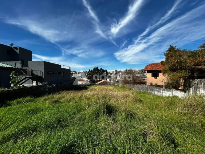 Terreno à Venda - 1.068 M² (17,8m X 60m) - órfãs, Ponta Grossa - Paraná