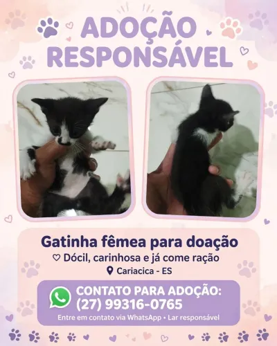 Doação responsável 