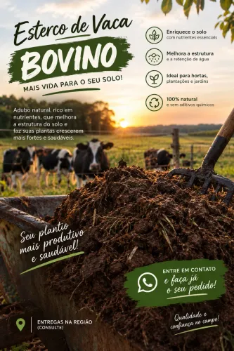 Esterco bovino 