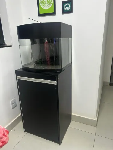 Lindo Aquário curvo com móvel