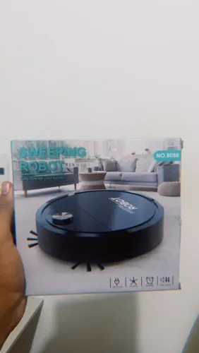 Sweepin robot