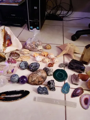 Lote de pedras, minerais, rochas e conchas 