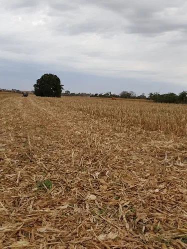 Vendo Sítio 25,41 hectares  dupla aptidão. 