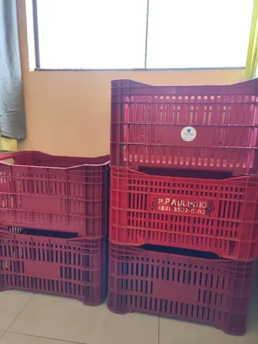 VENDO 5 CAiXAS FRUTAS E VERDURAS