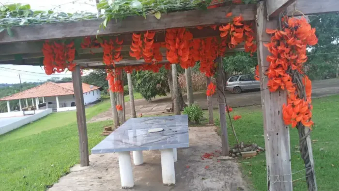 Sítio região de Taquaral de Goiás 2 Alqueires com Piscina, Piscicultura e Estrutura Rural
