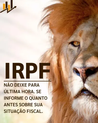 Declaração de Imposto de Renda e MEI