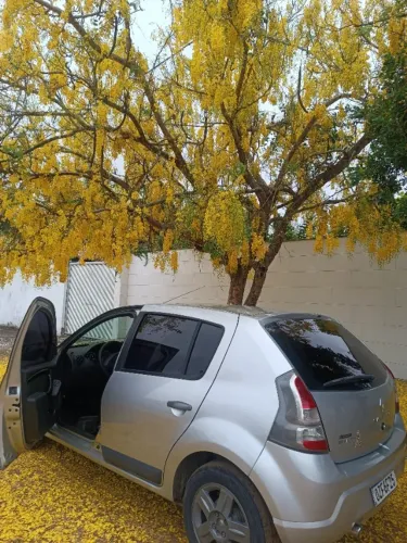 Renault Sandero Expression Hi-flex 1.0 16V 5P 2014