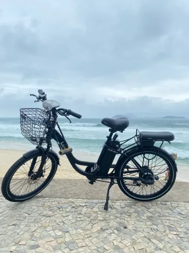 Lev Ebike L 350W potência semi nova