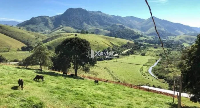 Sítio à venda com 4 alqueires em Jaqueira, Anchieta/ES - Casa de alto padrão, galpões, pis