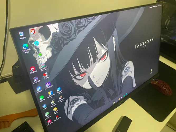 Monitor aoc hero 24 165hz