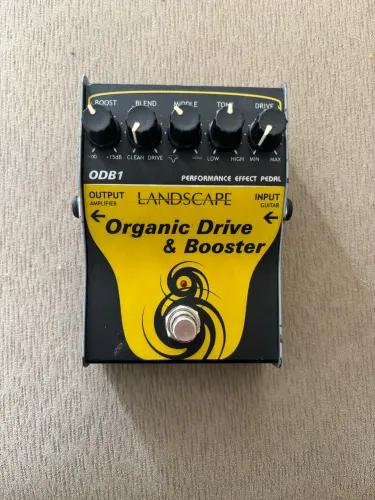 Organic Drive and Booster Landscape