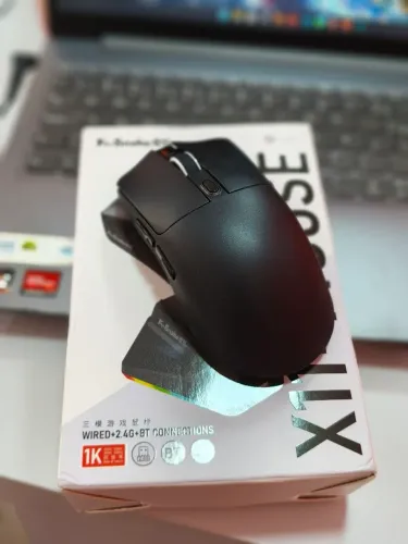 Mouse gamer x11