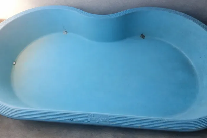 Piscina feijão 
