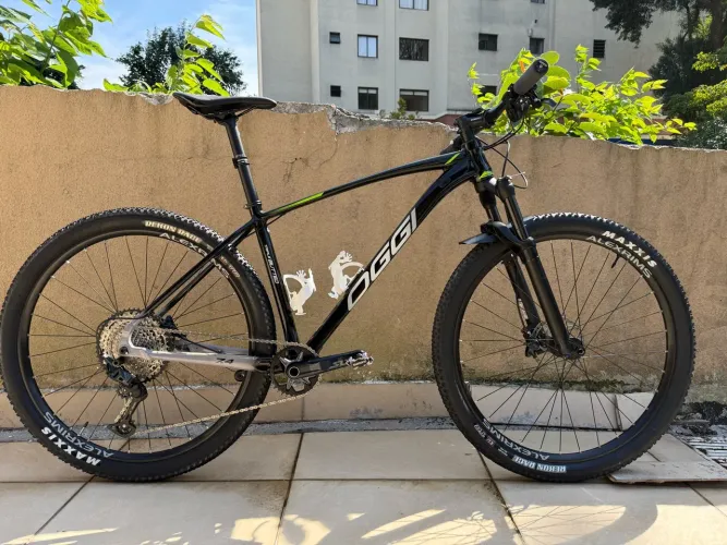 Bicicleta BIG WHEEL 7.4