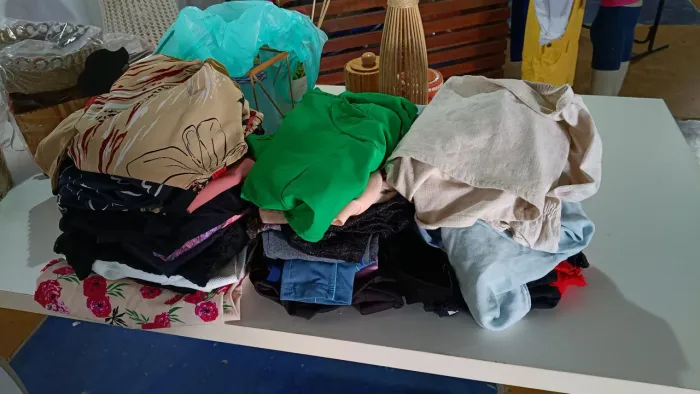 Lote com 30 peças Feminina. Do P ao GG