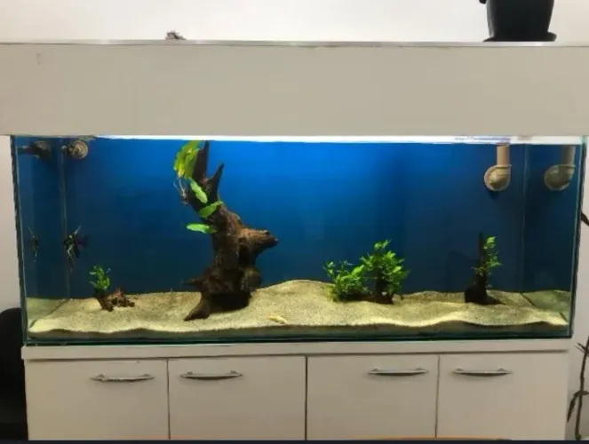 Aquário Jumbo de 400L
