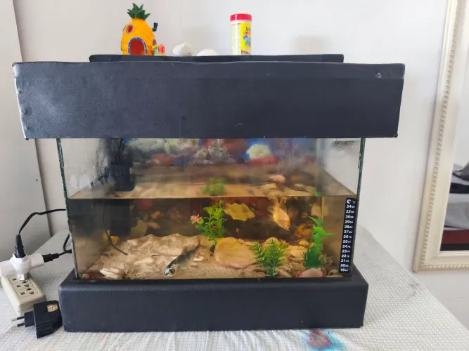 Aquário 50l completo