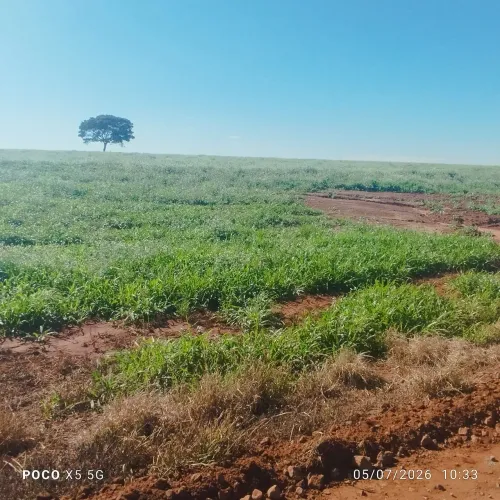 Chácaras próximo a Maringá
