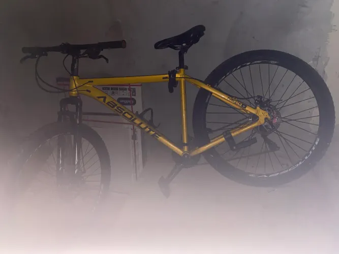 Bicicleta aro29
