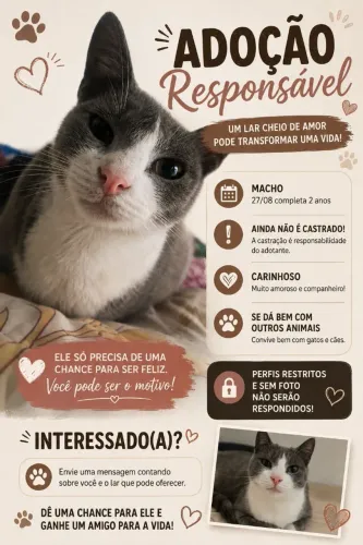 Doação de gato