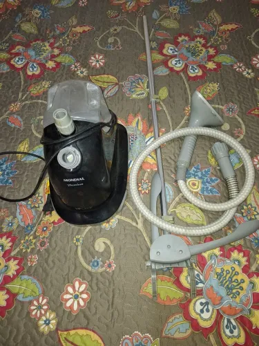 Passadeira à vapor