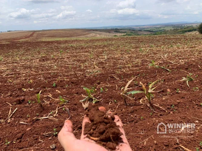 Fazenda com 1 dormitório à venda, 8064000 m² por R$ 110.000.000,00 - Vila Sao Luiz - Nova