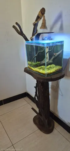 Vendo aquario com mesinha rústica 