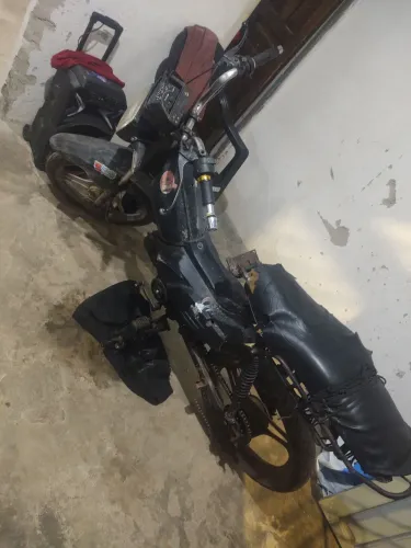 Motinha