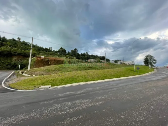 Terreno Vicentina Farroupilha