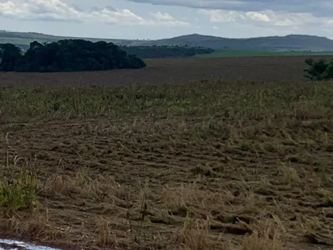 Fazenda a venda em Ipameri - Goiás!!!