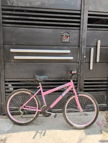 Bicicleta Rosa