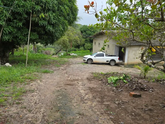 Vendo granja 