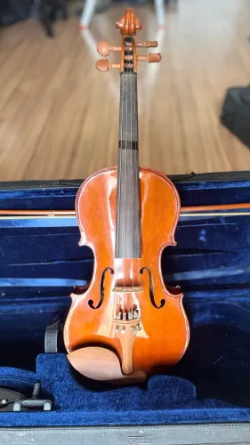 Violino Eagle Ve441 4/4 Com Case, Arco