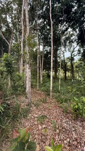 Terreno / Bairro Pedra Azul / Arraial d`Ajuda
