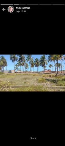 terreno taiba