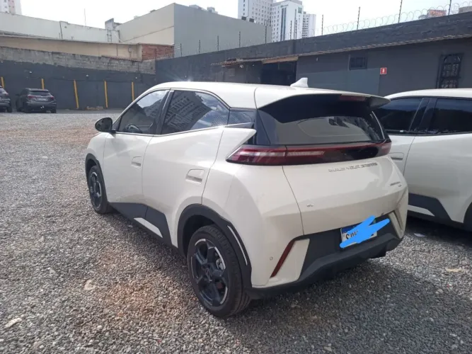 BYD Dolphin Mini (Elétrico) 2024