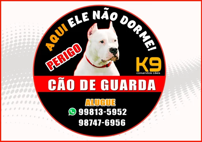 CÃO DE GUARDA - Sua Empresa Segura.